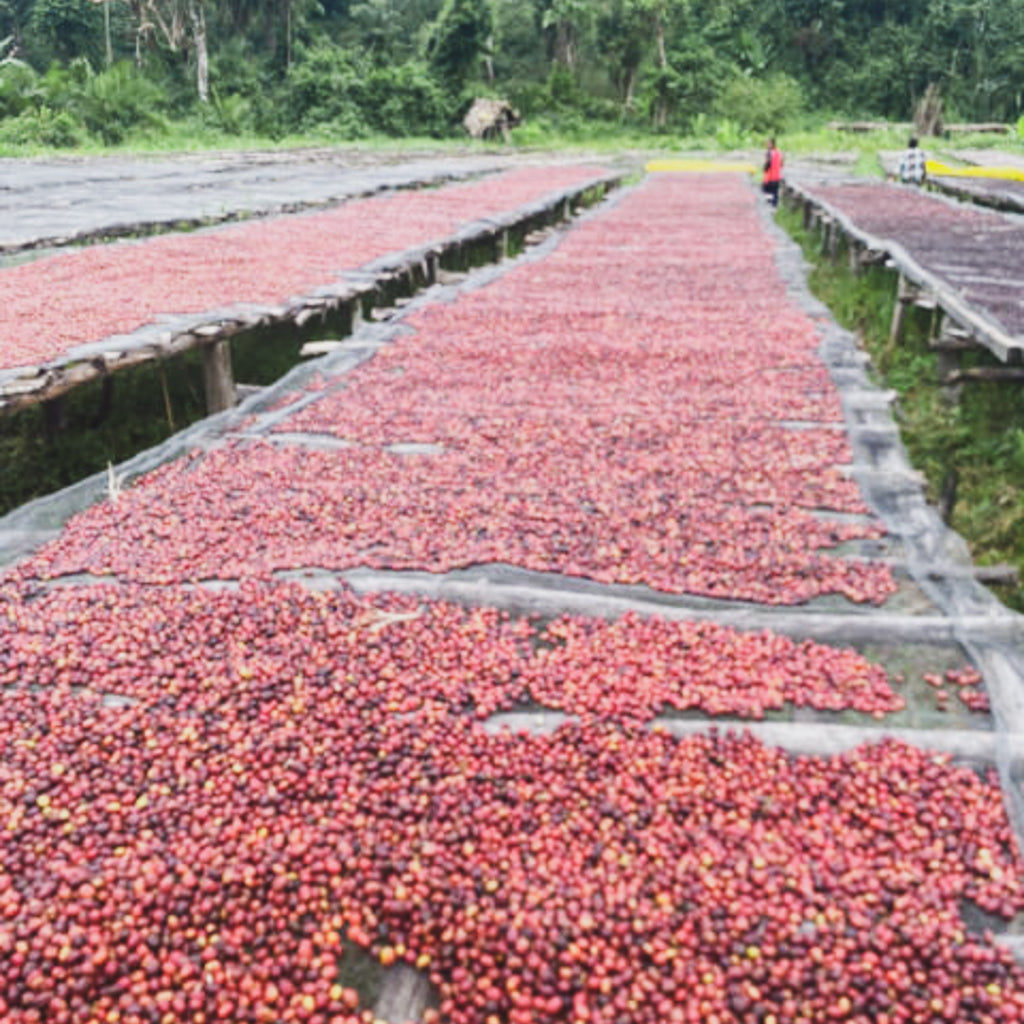 アザレチ, ナチュラル