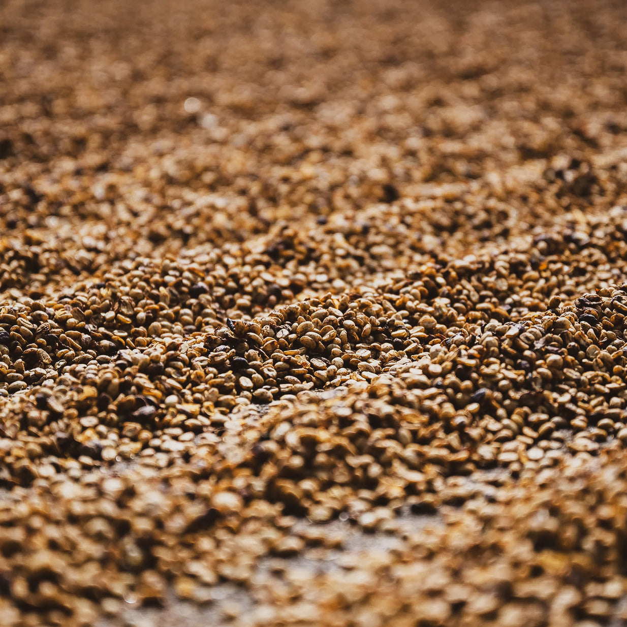 源一源, イーストファーメンテーションハニー