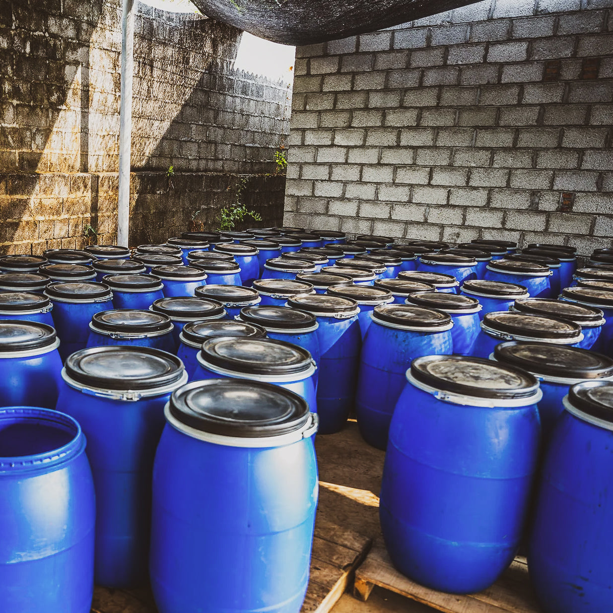 源一源, イーストファーメンテーションハニー