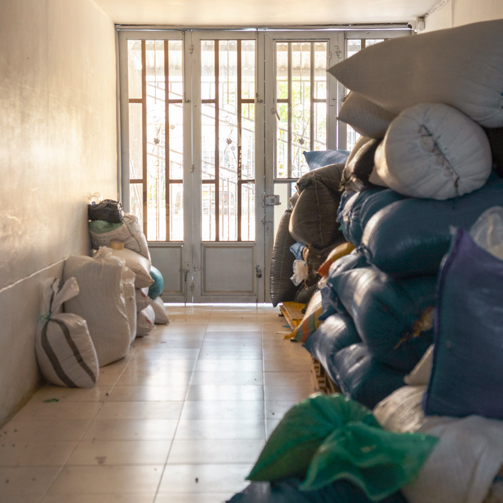 エル・パライソ ゲイシャ, ウォッシュド