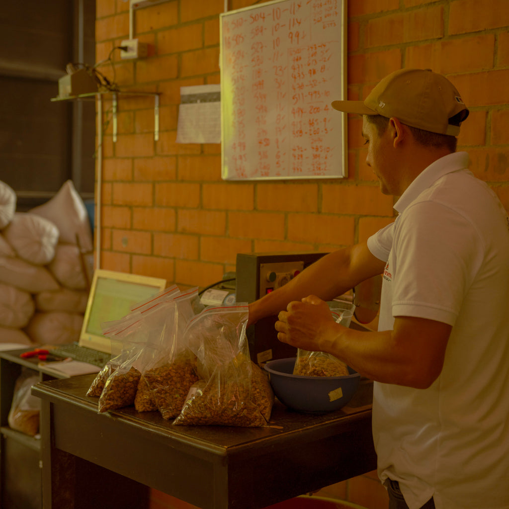 ラ・ロカ パカマラ, ナチュラル