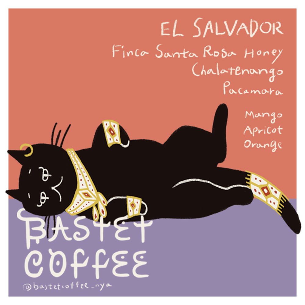 サンタ・ロサ パカマラ, ハニー – BASTET COFFEE