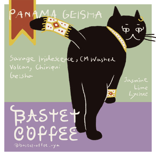 サヴェージ ゲイシャ, イリデッセンス / CMウォッシュド