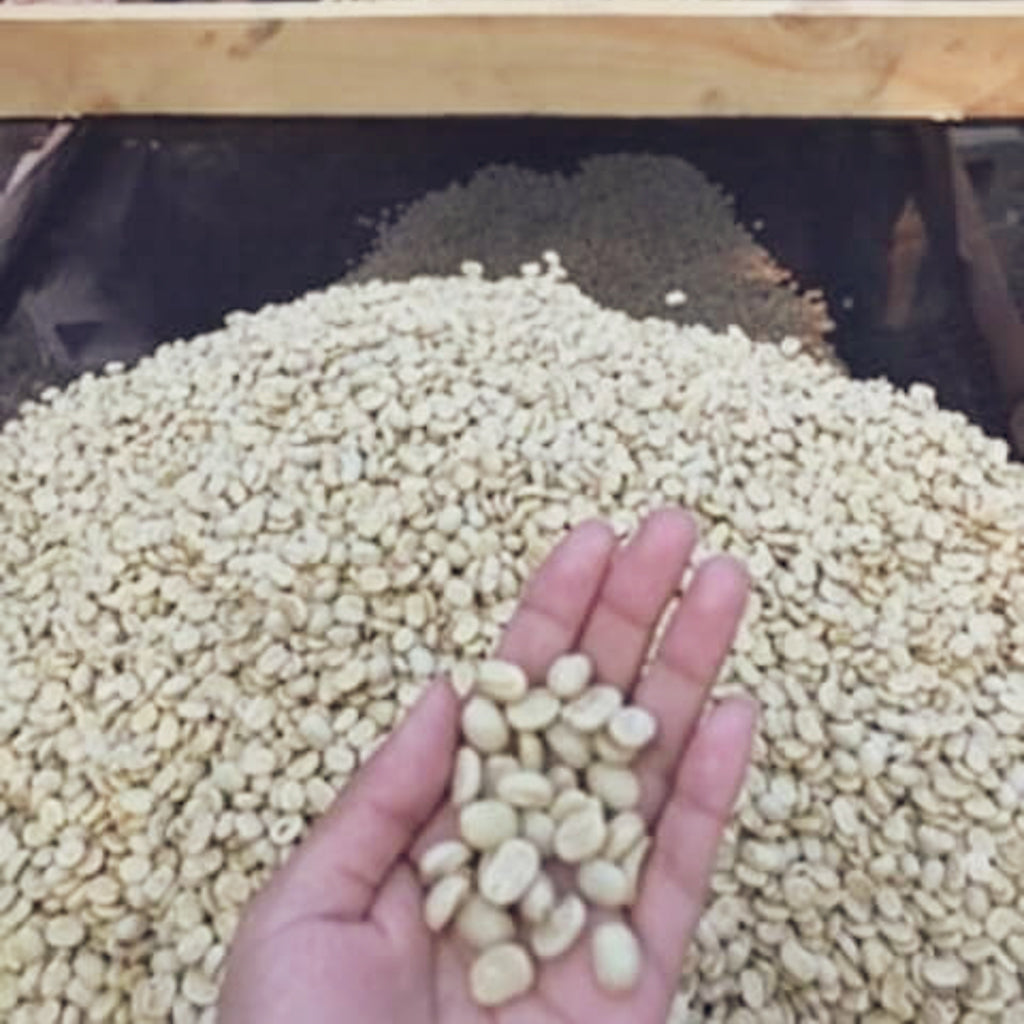 ラス・デュアナス パカマラ, アナエロビックウォッシュド