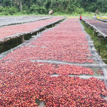 アザレチ, ナチュラル