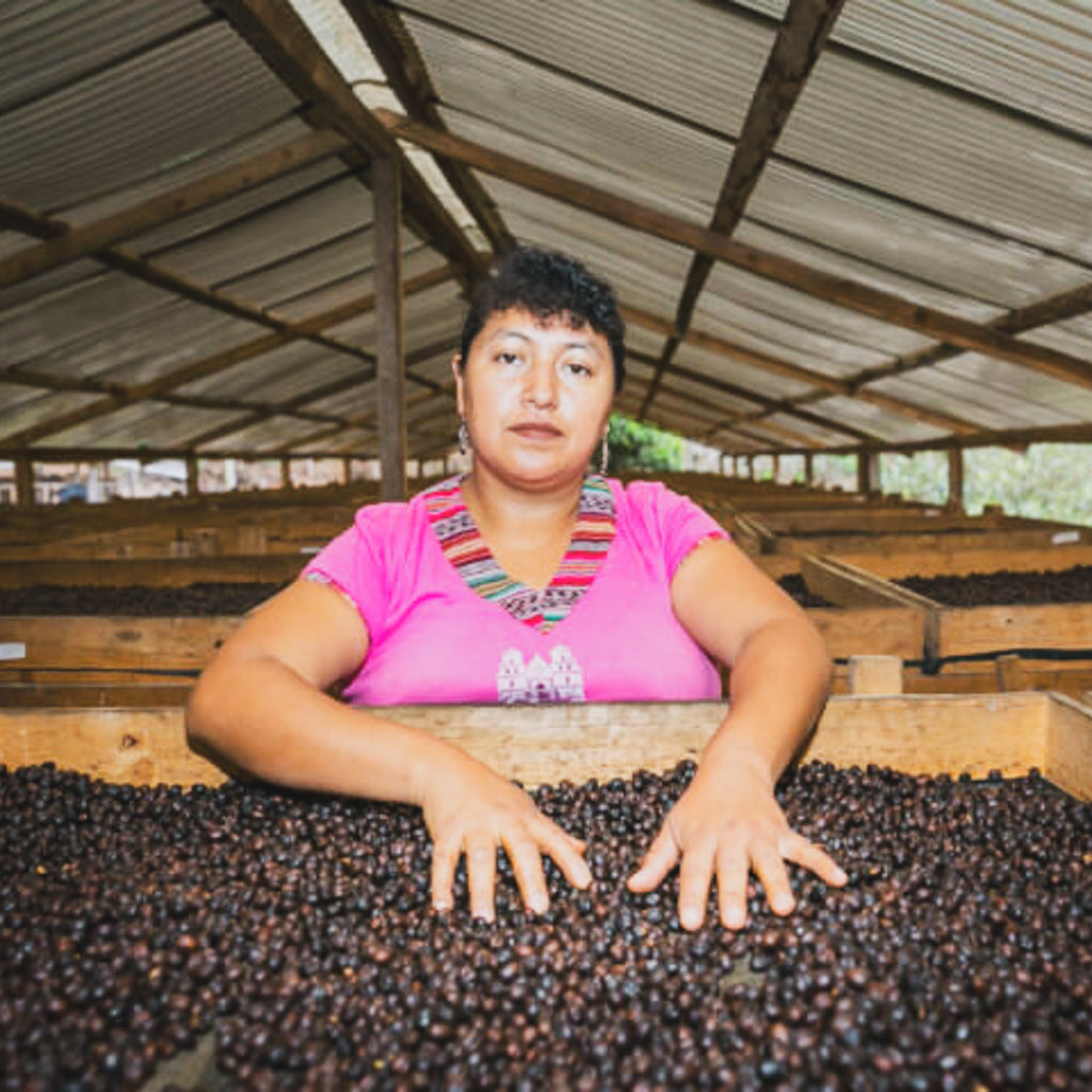 ロス・コネホス, ナチュラル