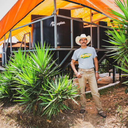 ロス・コネホス, ナチュラル