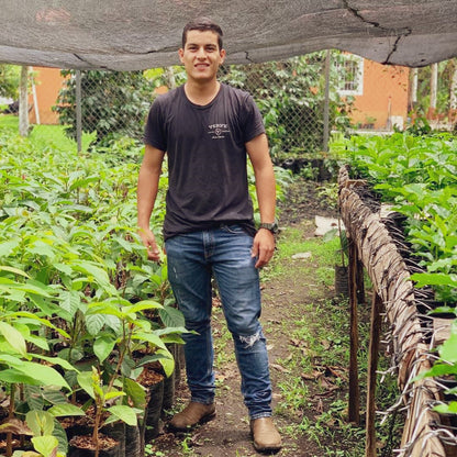 デニルソン・マドリッド パライネマ, ウォッシュド