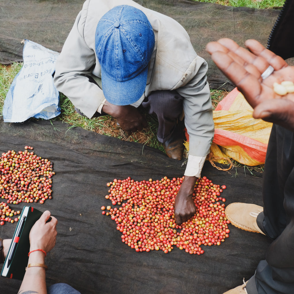 エンデベス, ナチュラル