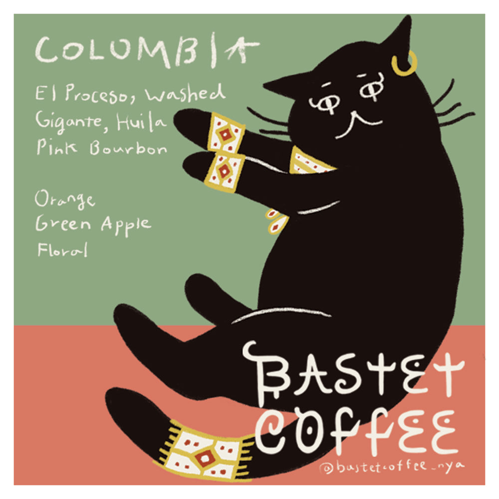 エル・プロセソ ピンクブルボン, ウォッシュド