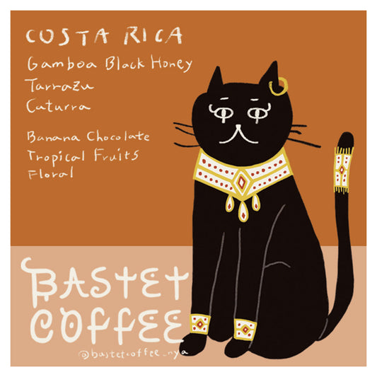【DRIP BAG】Gamboa Black Honey, COSTA RICA 5pc