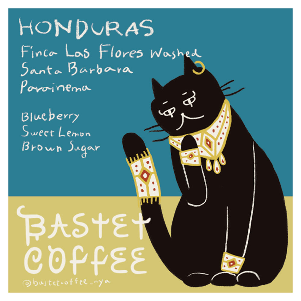 デニルソン・マドリッド パライネマ, ウォッシュド