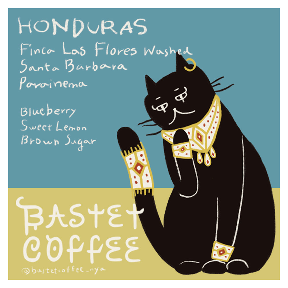 デニルソン・マドリッド パライネマ, ウォッシュド