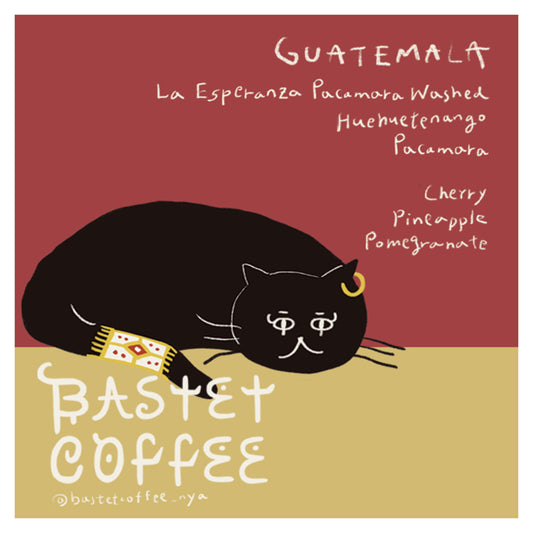 エスペランサ パカマラ, ウォッシュド