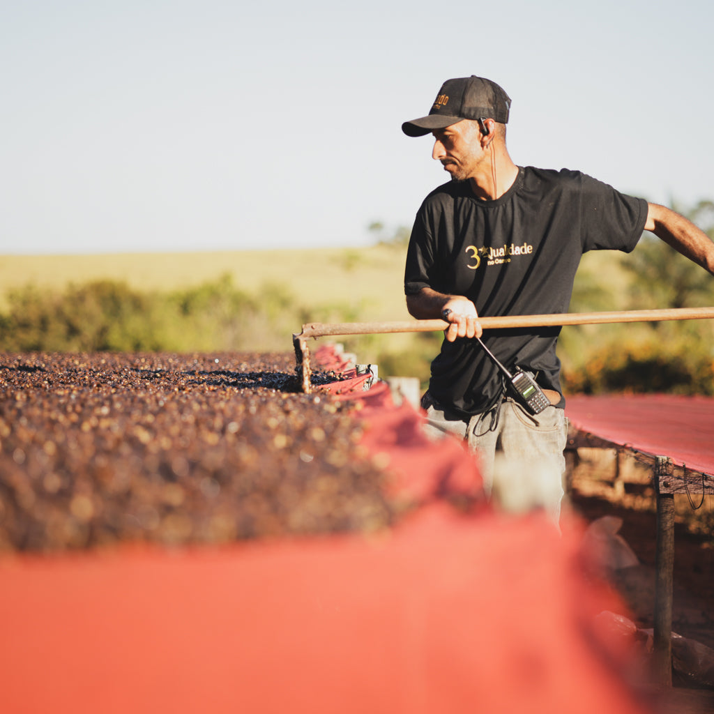 エルドラド, イーストファーメンテーションウォッシュド