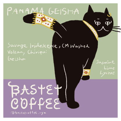 サヴェージ ゲイシャ, イリデッセンス / CMウォッシュド